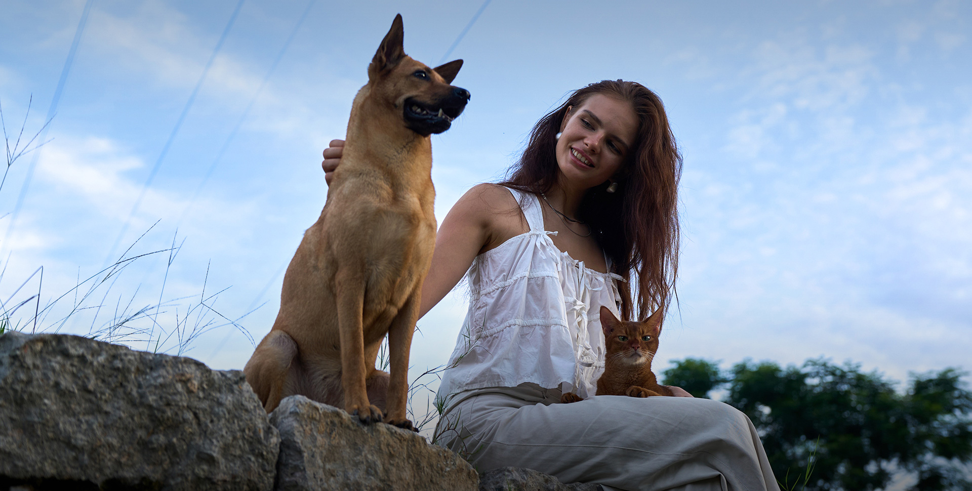 Beyond Products.
Building a Complete Pet Care Ecosystem.