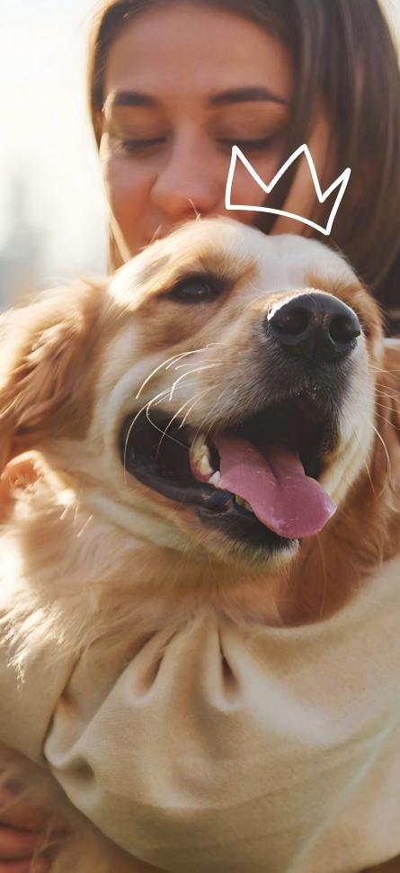 WELCOME TO
A LEADING GLOBAL PET CARE BRAND.
AN INNOVATOR IN PET CLEANING & CARE.
A PARTNER YOU CAN TRUST — AND GROW WITH.