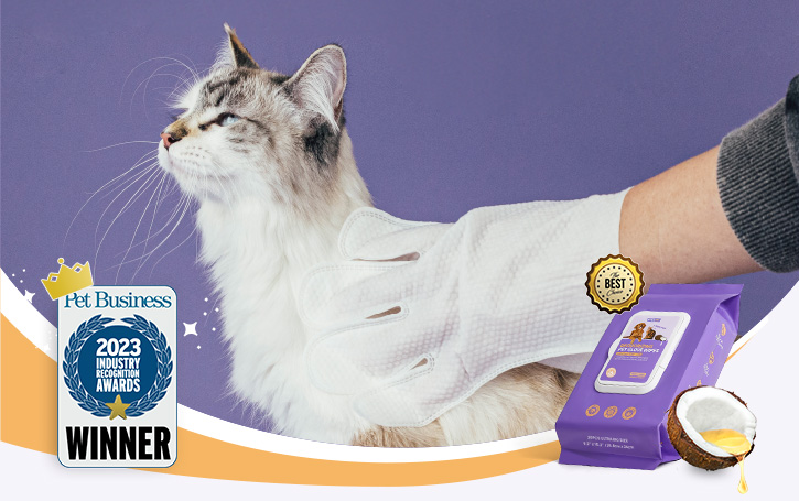 HICC PET 宠物除臭手套湿巾荣获《Pet Business》杂志2023年行业认可大奖
