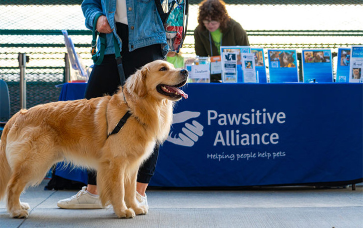 为爱前行：HICC PET和美国华州Pawsitive Alliance达成宠物慈善合作