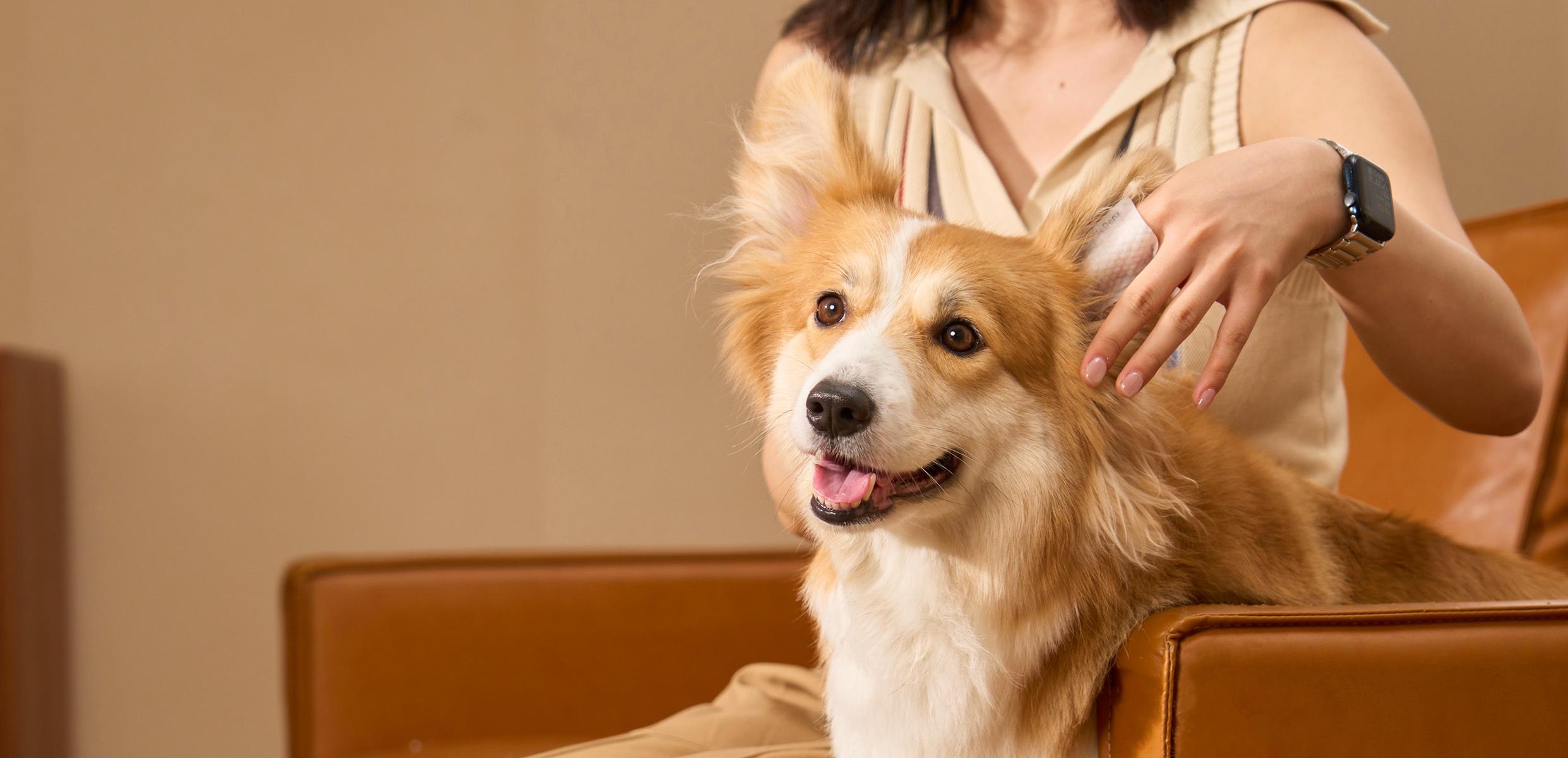 这里是你选择与我们
并肩作战的理由